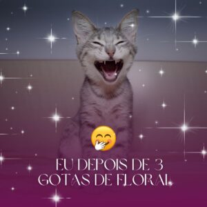 PACK FLORAIS (4)